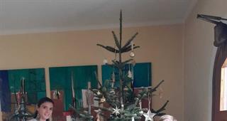 Weihnachtsbaum+im+Amtshaus