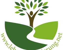 Logo Sonja Zauner - psychosoziale systemische Beraterin in Ausbildung und Supervision