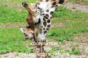 Zoo Schmiding